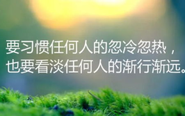 名言励志 经典语录,经典励志语录的力量